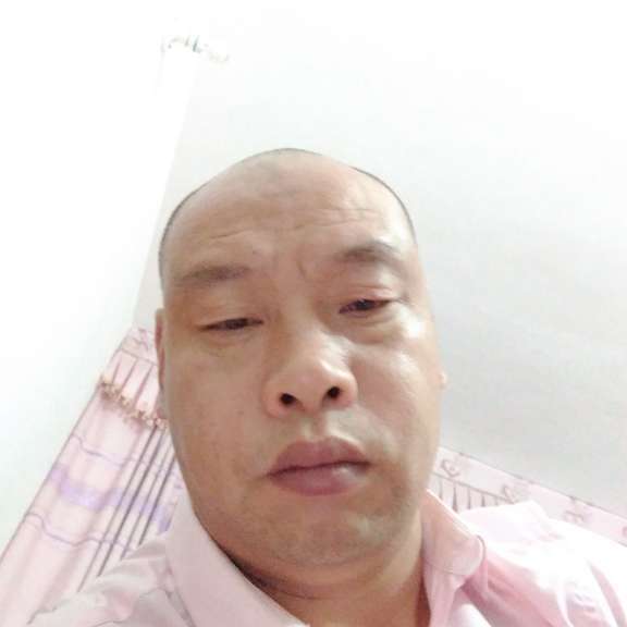 大雁浅吻风中的照片