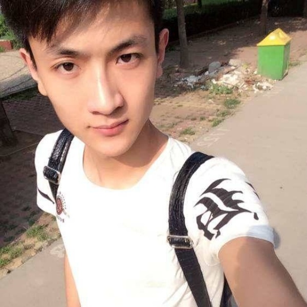 呆头呆脑3的照片