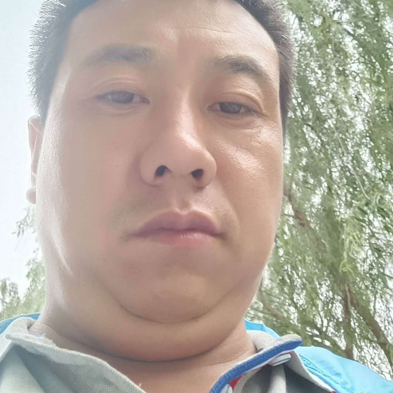 发福的照片