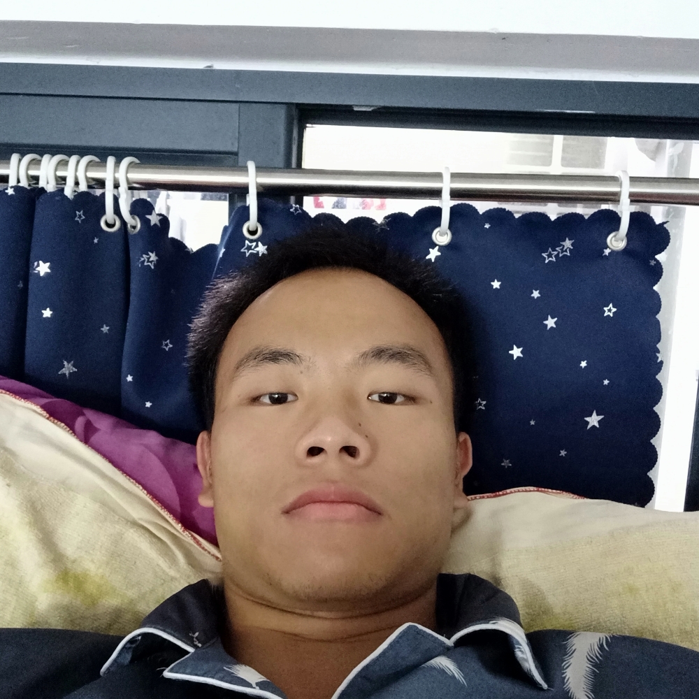 鸥登的照片