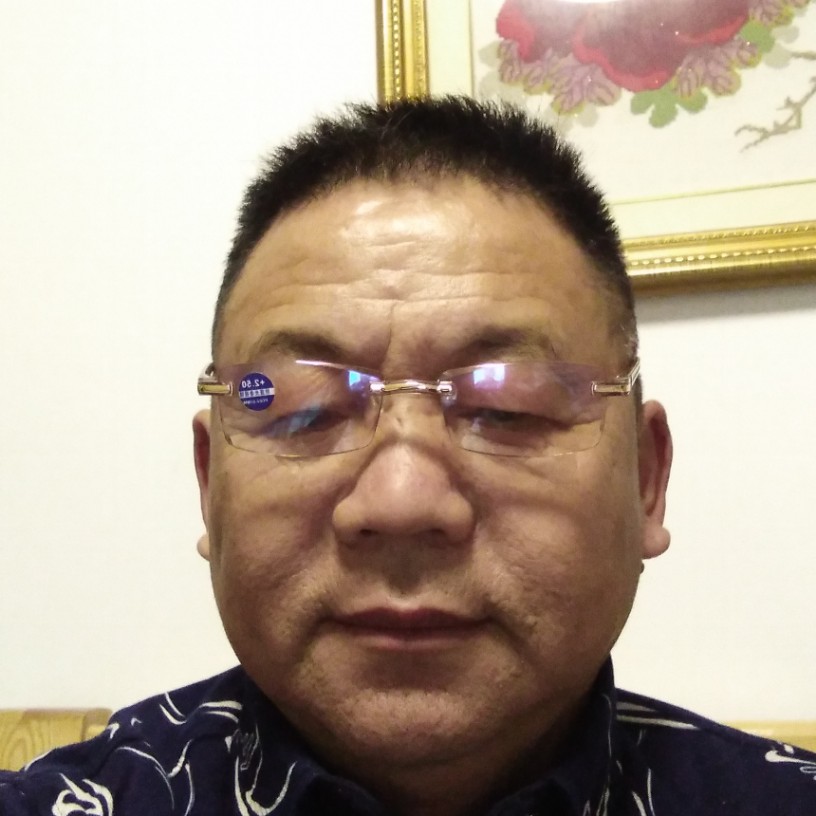 和谐蚂蚁的照片