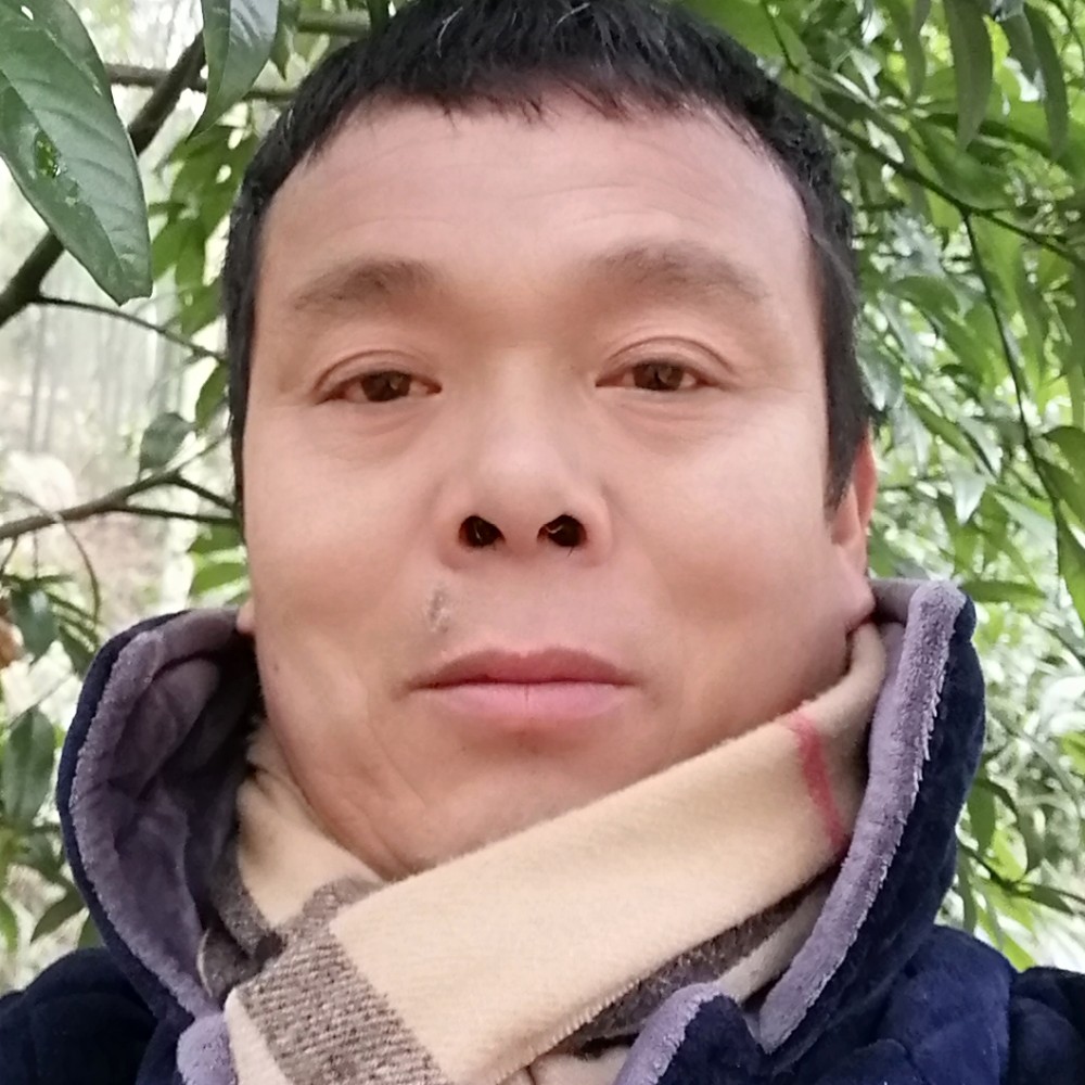 情意友好的照片
