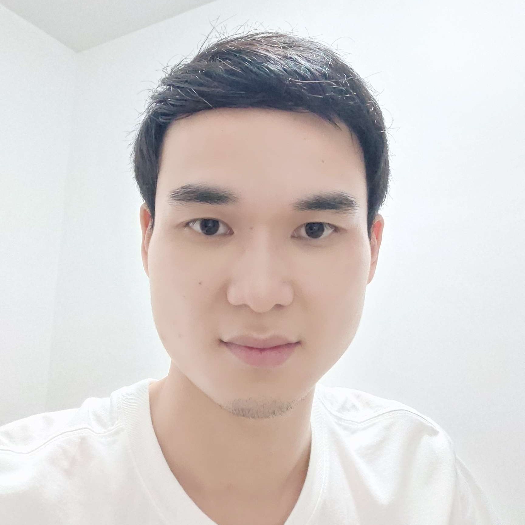 海豚大力的照片