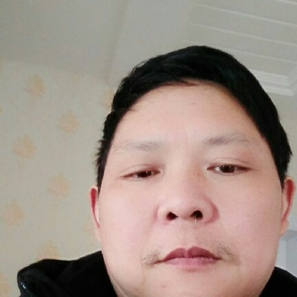 冬天演变饱满的照片