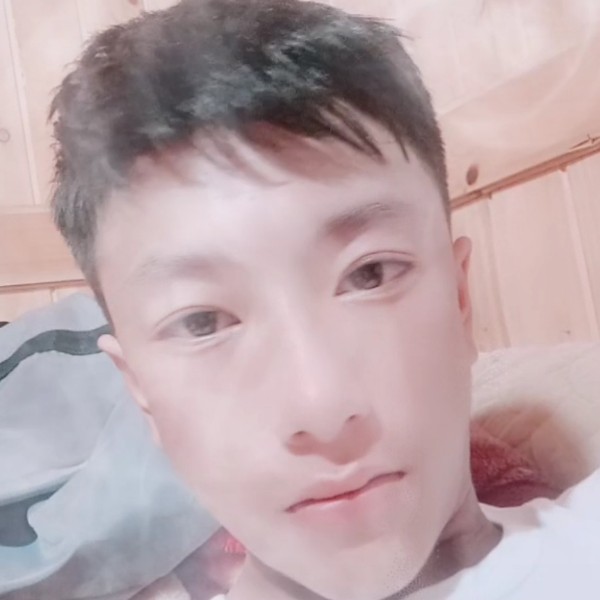 合适停止龙猫的照片