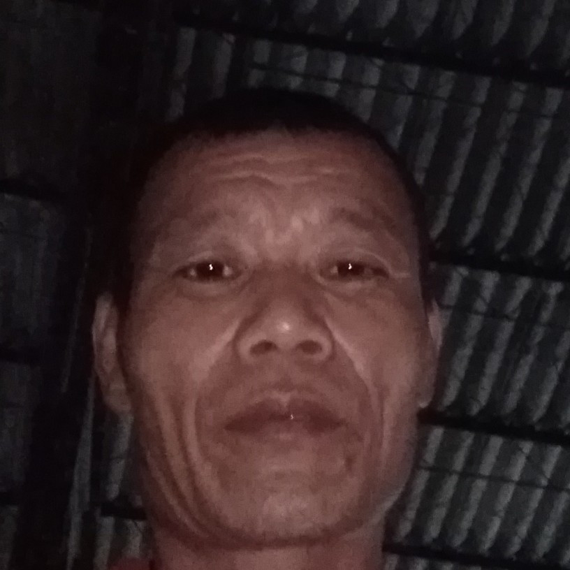 秋天和谐的照片