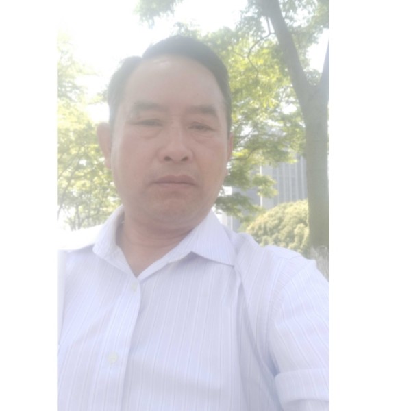 奇异果用坚定的照片