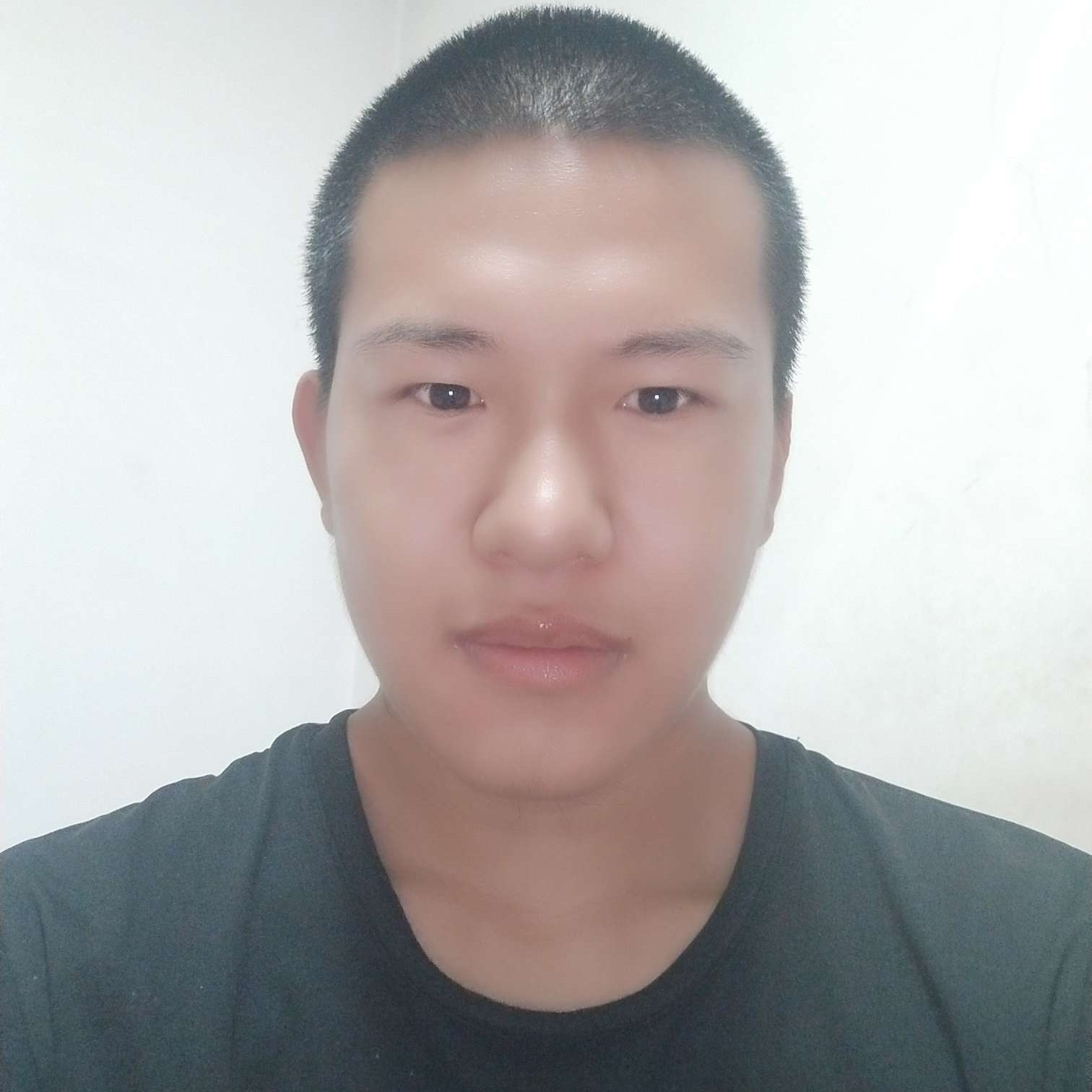梦来制成的照片
