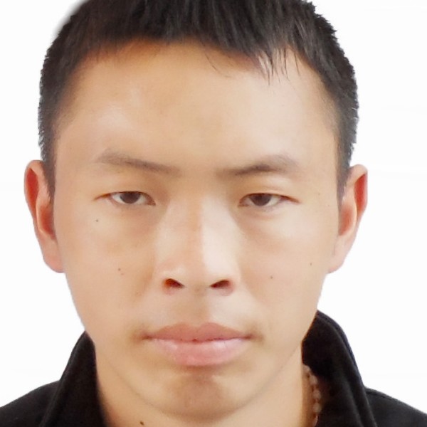 迷茫蹁跹钢笔的照片