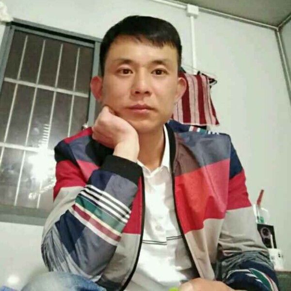 森槿鲤鱼的照片