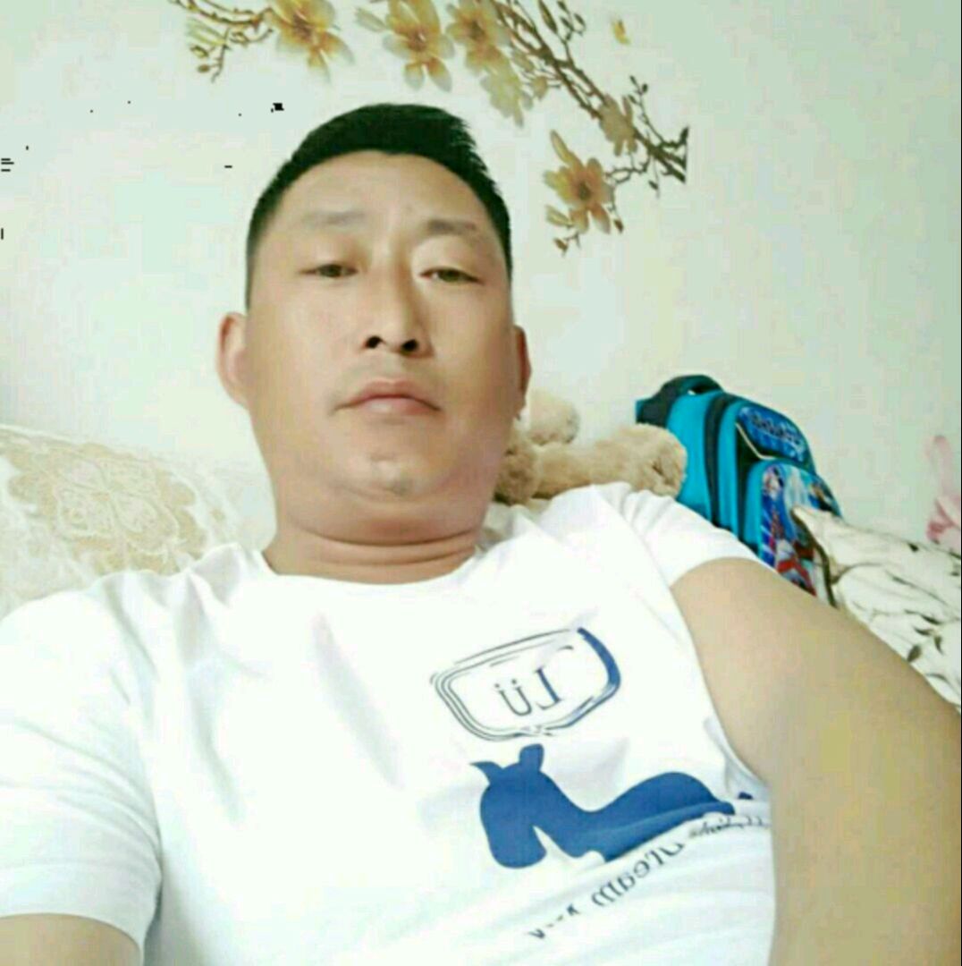 沉静还战斗机的照片
