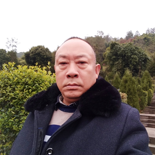 南鸢沉静的照片