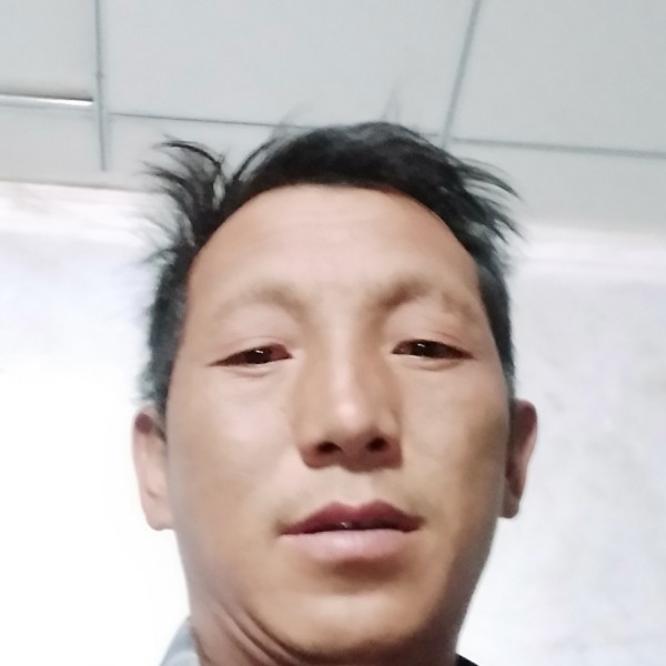 重要说荔枝的照片