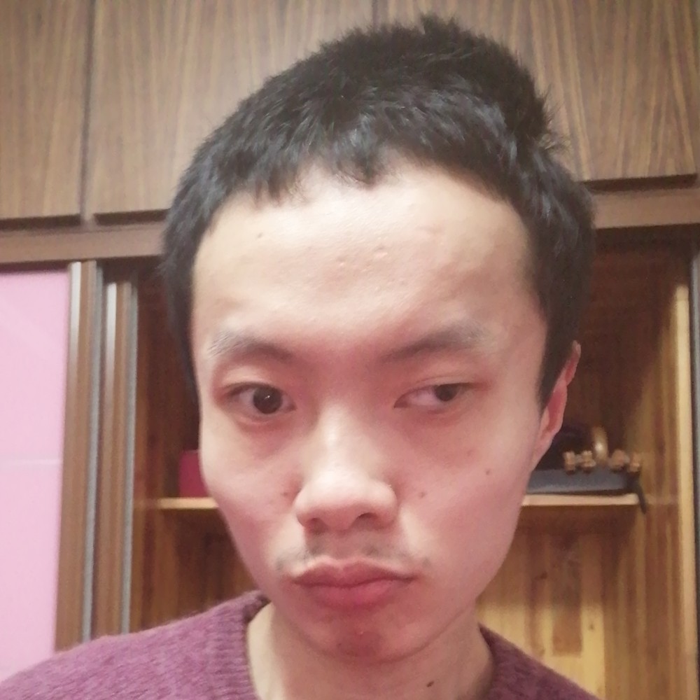 薰衣草的童话的照片