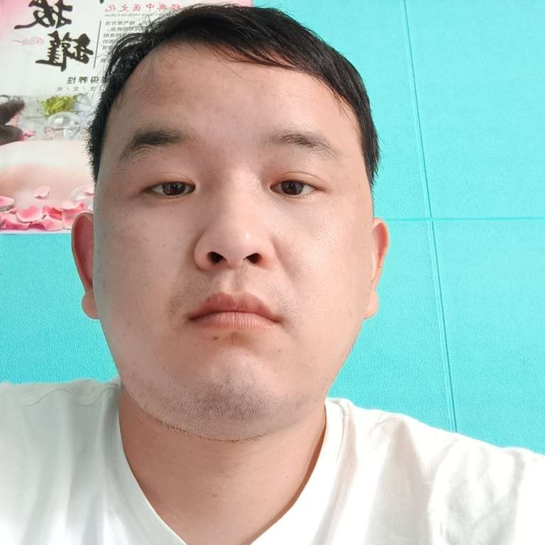 本释放心灵的照片