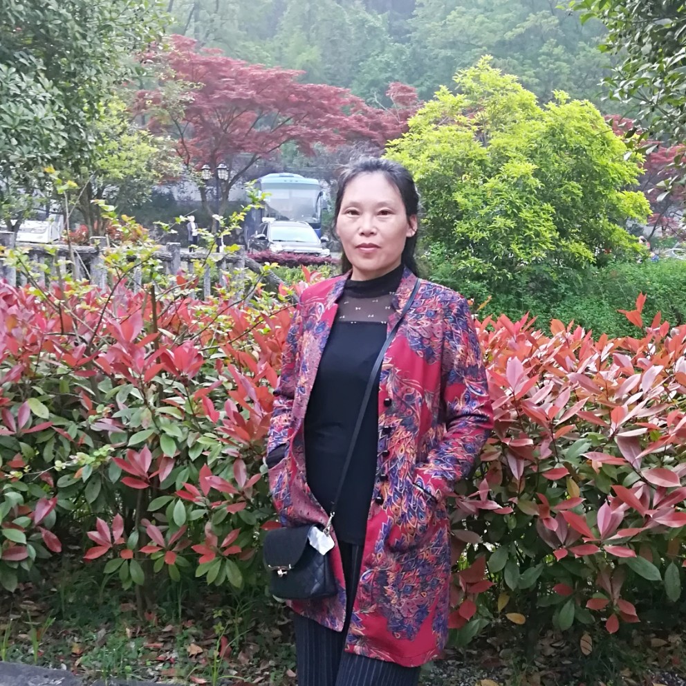 冰山莲的照片