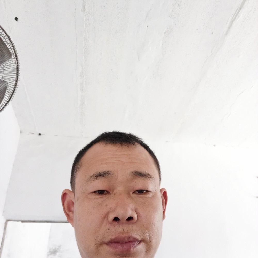 专注爱恋花卷的照片
