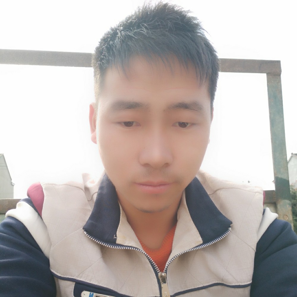 大树挽手沉静的照片