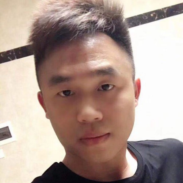 美丽方向日葵的照片