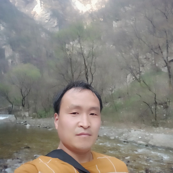 深情的圣诞树的照片