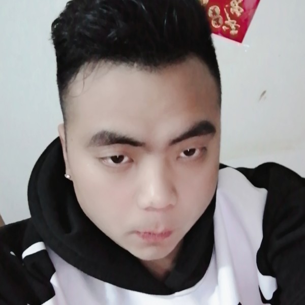 安详演变灰狼的照片