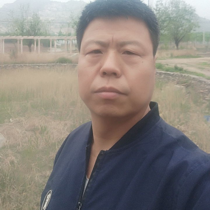 旱苗逢雨的照片