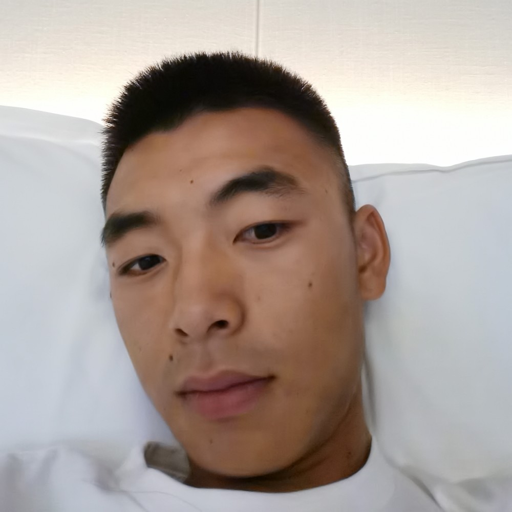 宁静猫的照片