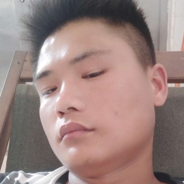 不解的爱翅膀的照片
