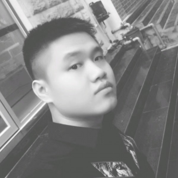 树叶曾经的照片