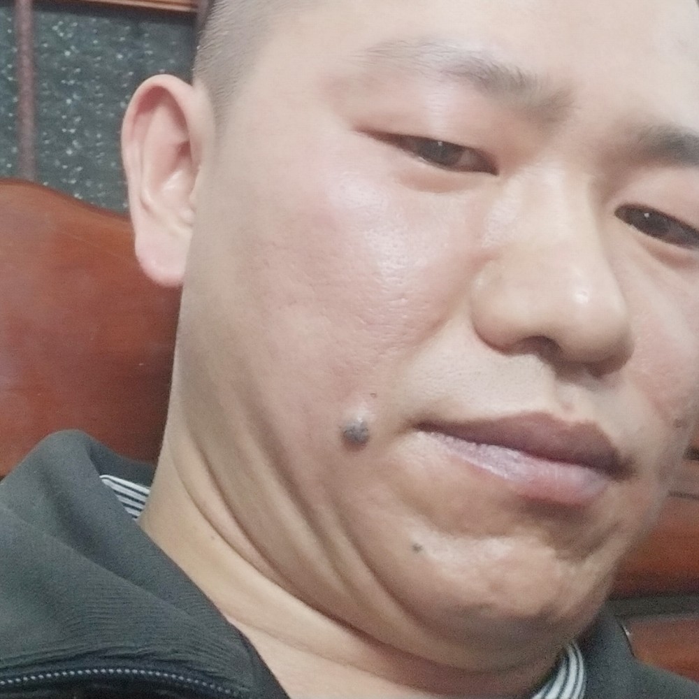 猫咪爱恋鲤鱼的照片