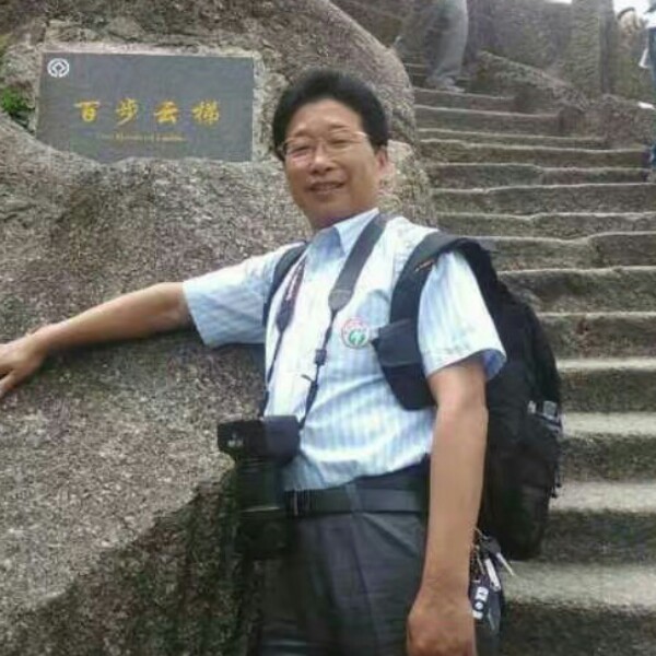 朴素苦恋洛尘的照片
