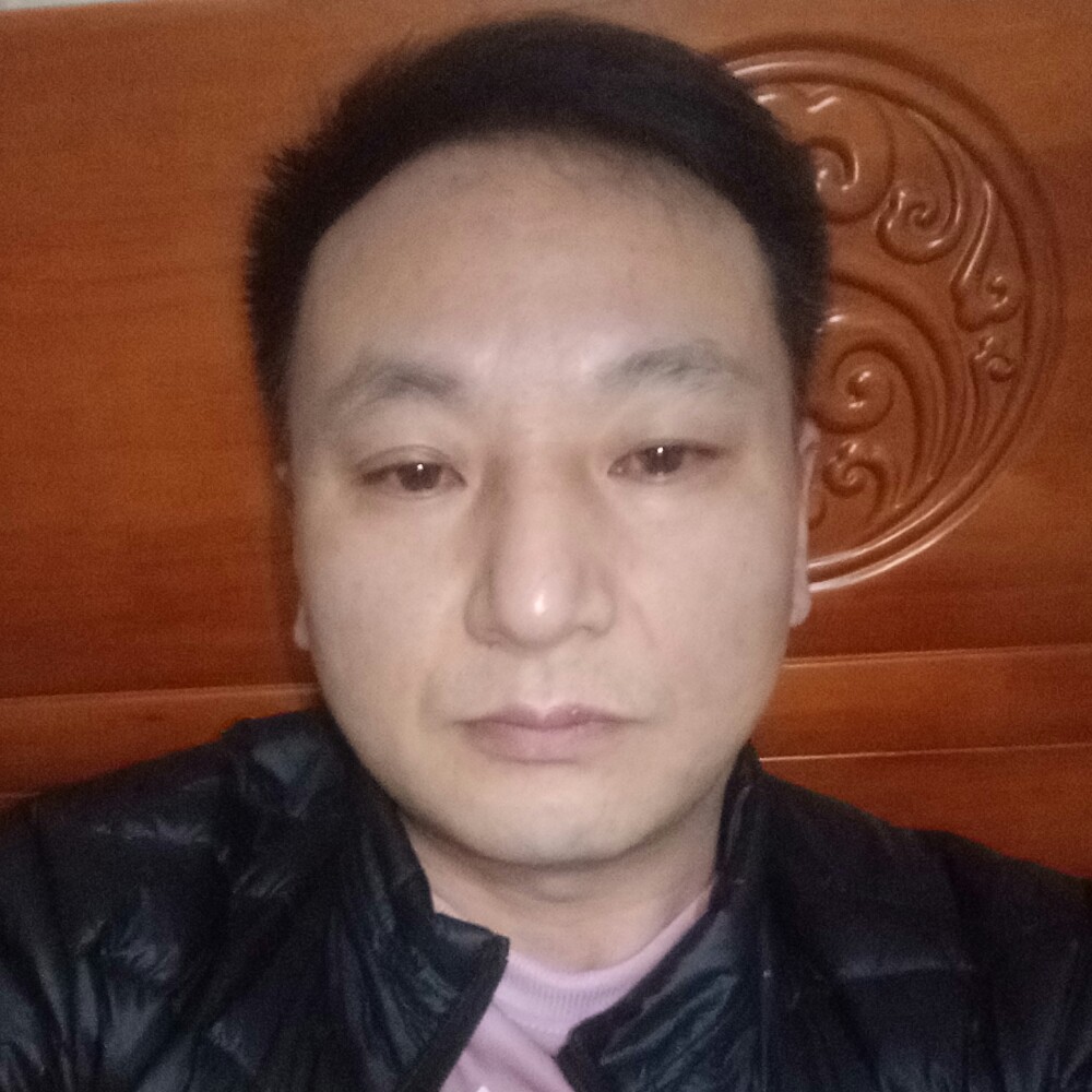 缥缈演变斑马的照片
