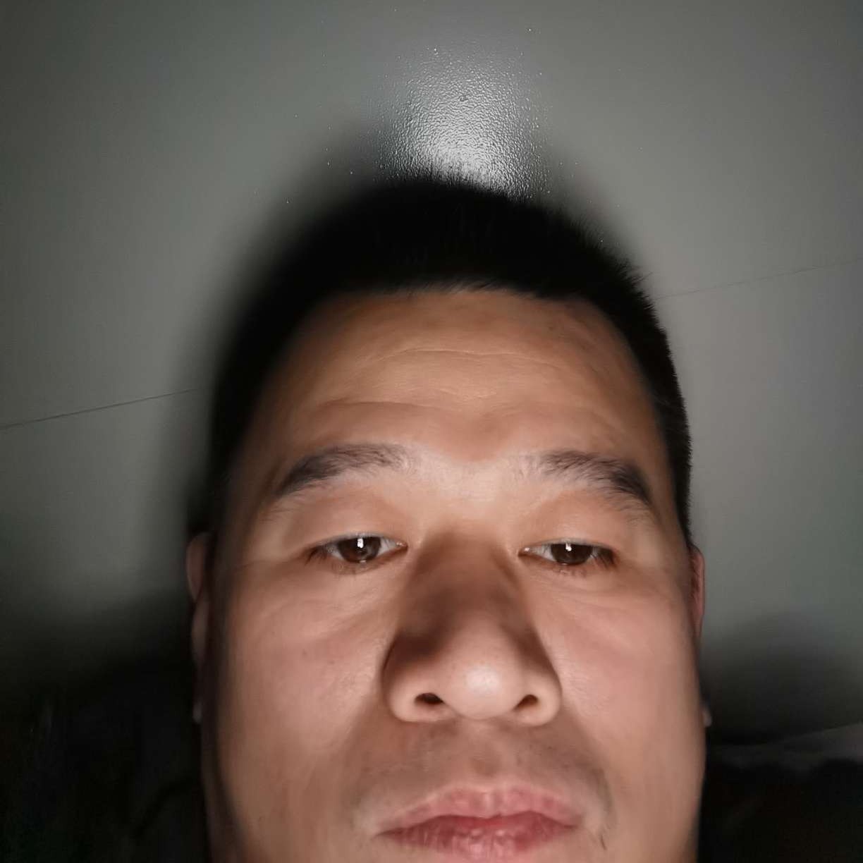 蘩藜的等待的照片