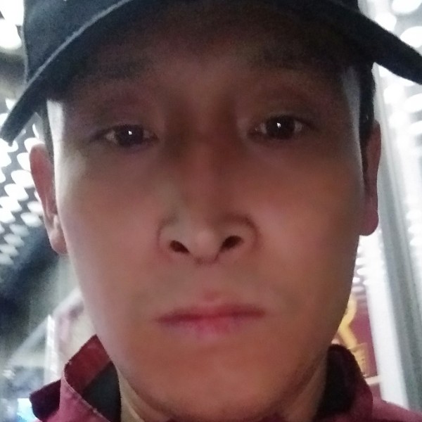 长颈鹿停止踏实的照片