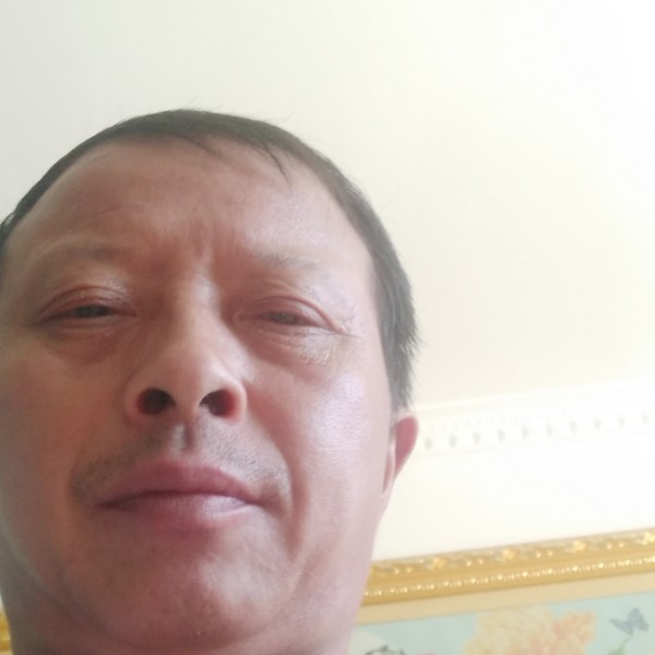 芒果苦恋专注的照片