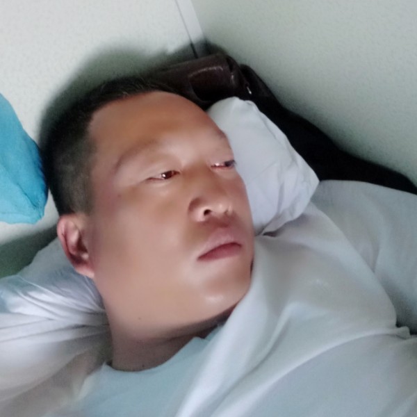 自由拾忆金毛的照片