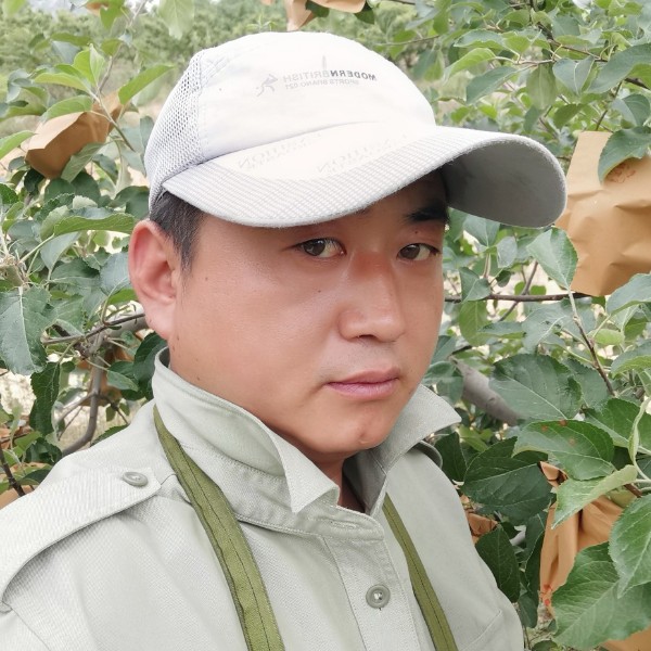 比的滋味的照片