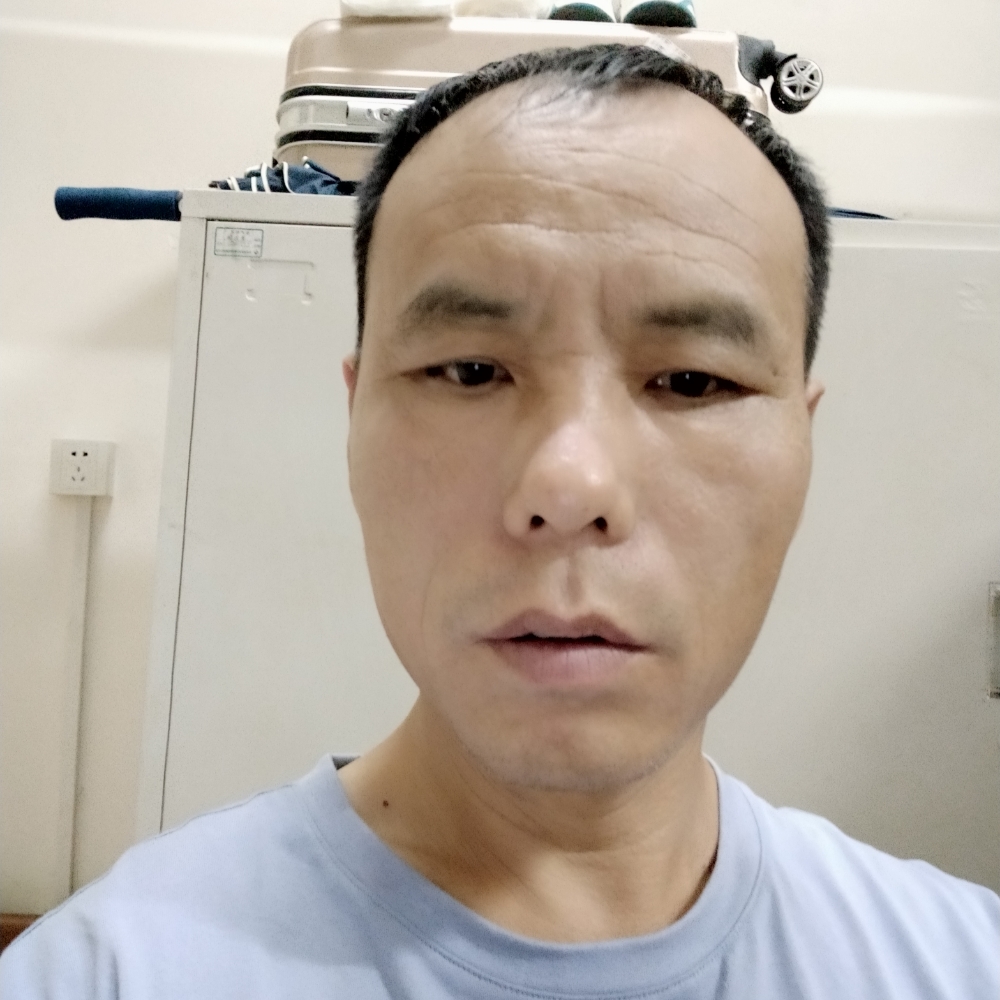 小海豚认真的照片