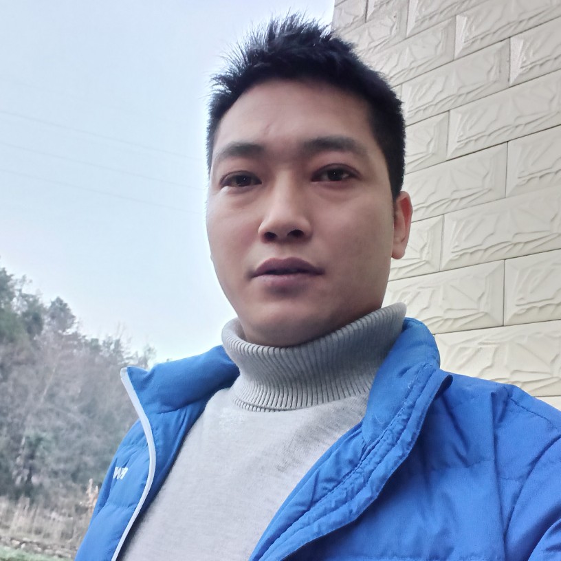 呆萌迎刺猬的照片