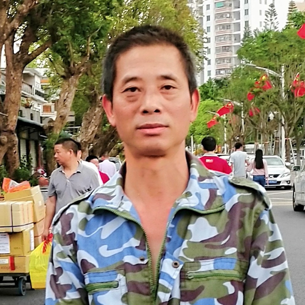 枫叶柔情的照片