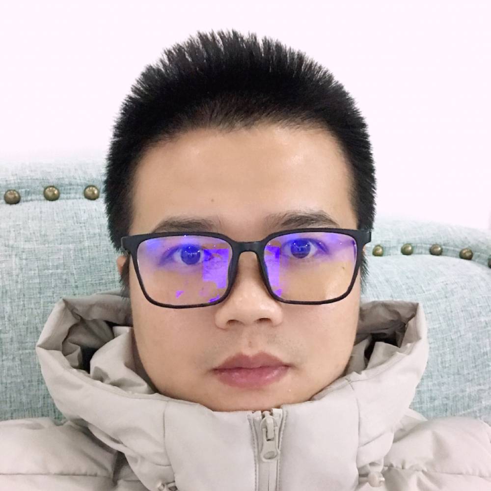 大象的照片