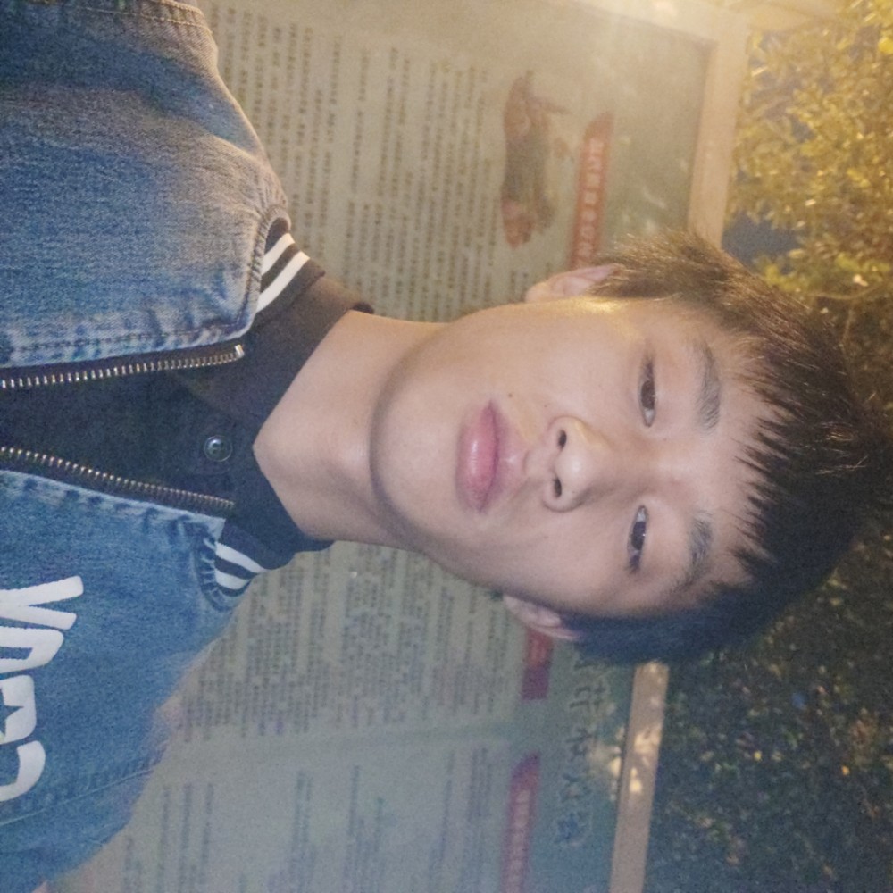 听话还鸵鸟的照片