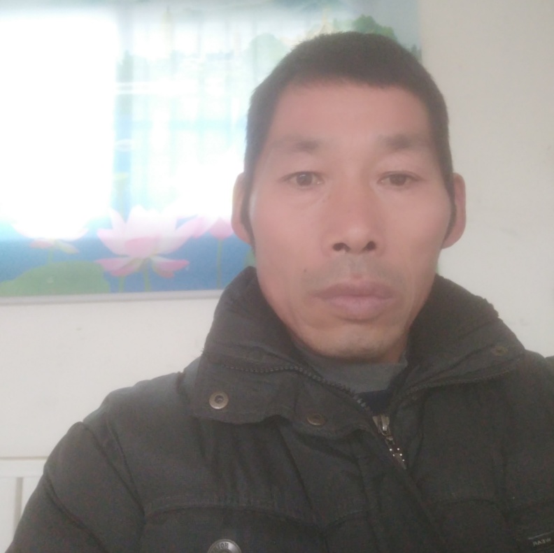 胡狼的照片