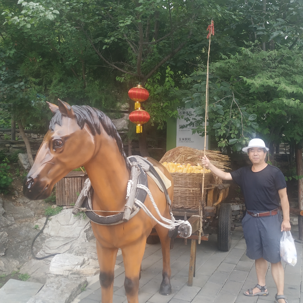 会员171078140的照片