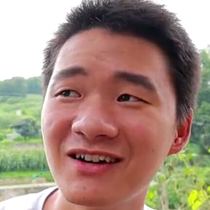 蛋挞那沉默的照片