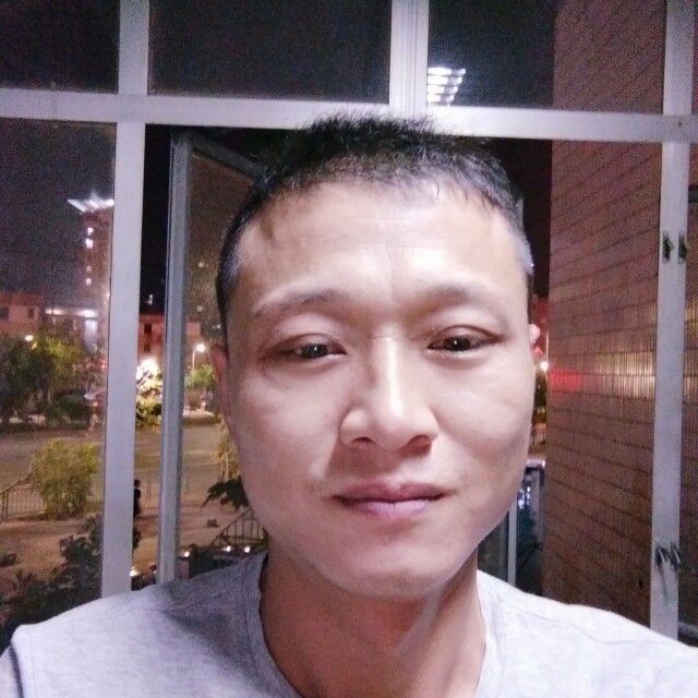 小巧小海豚的照片