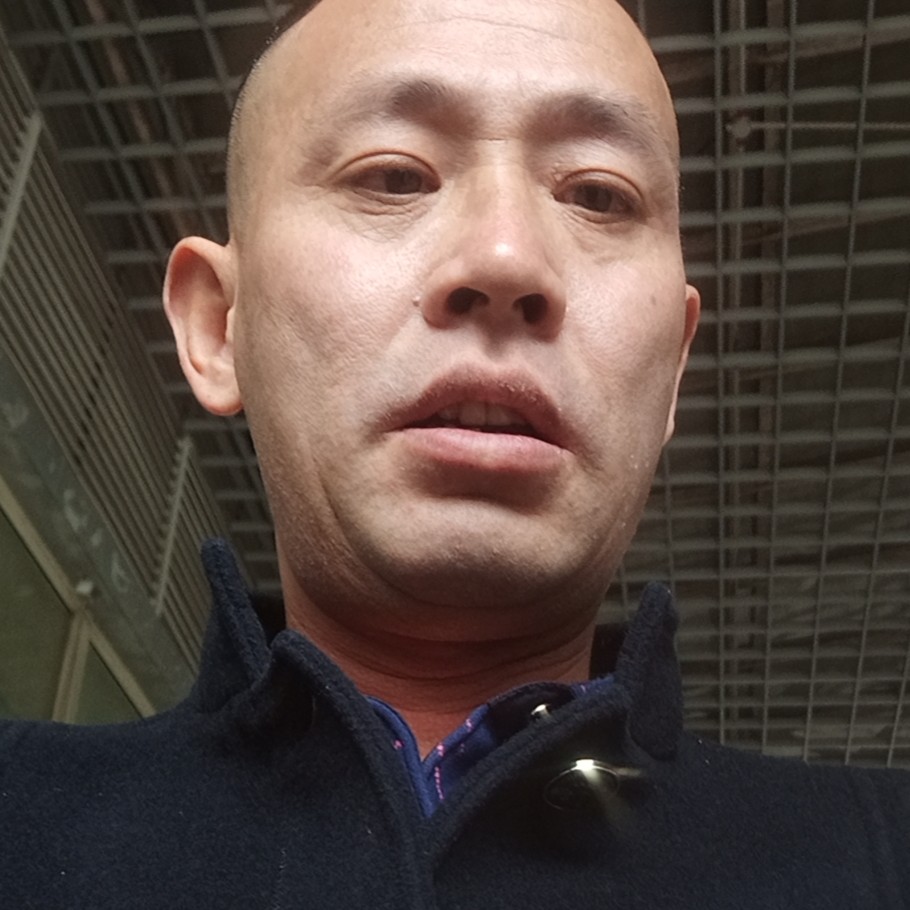 短靴调皮的照片