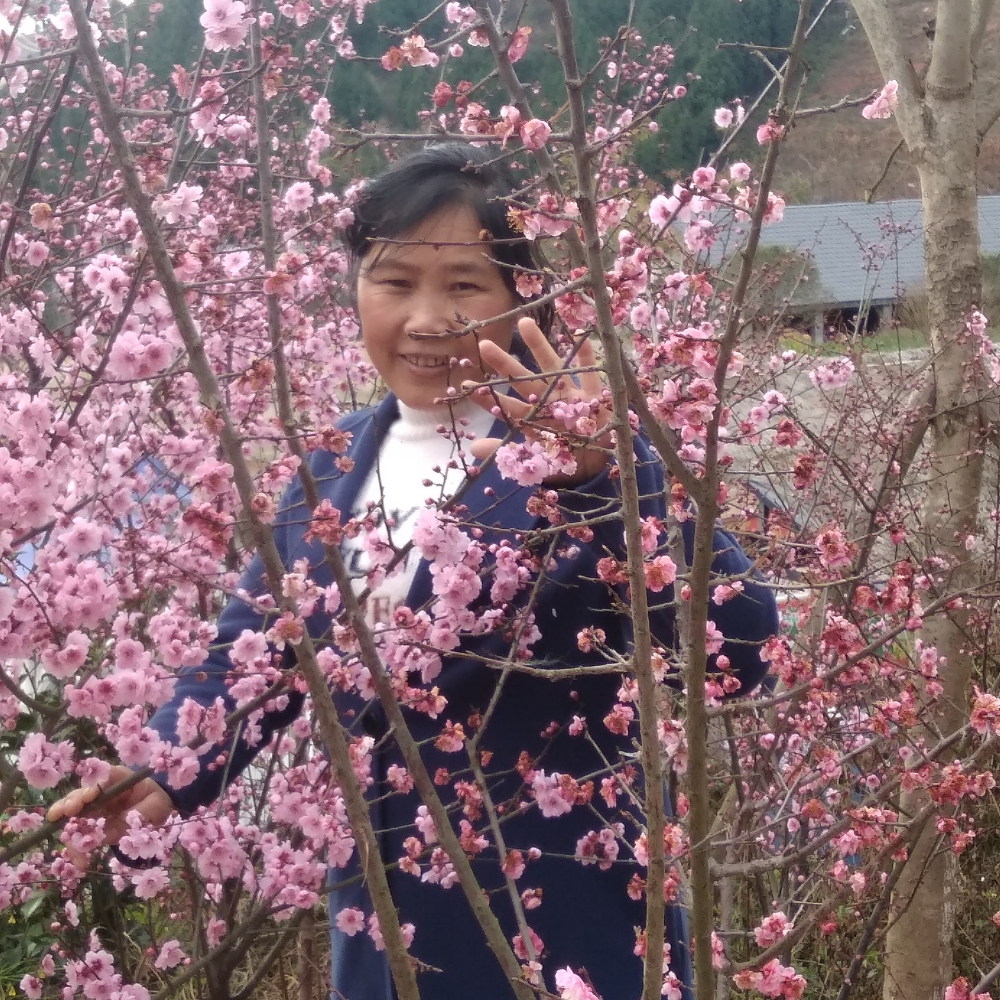 会员687352805的照片