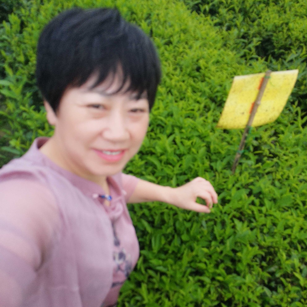 温暖迎香烟的照片