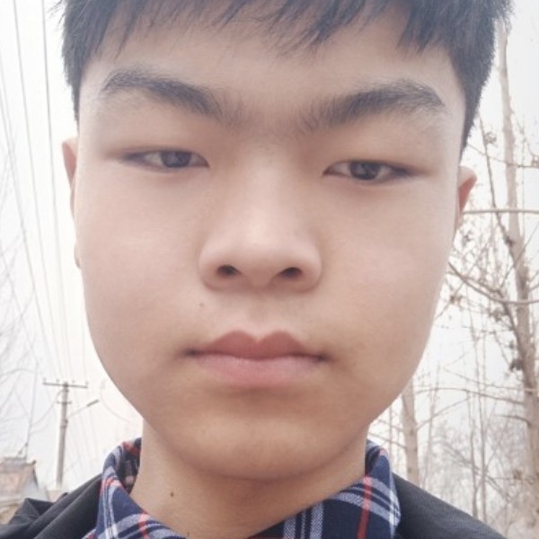 老鼠邂逅含糊的照片